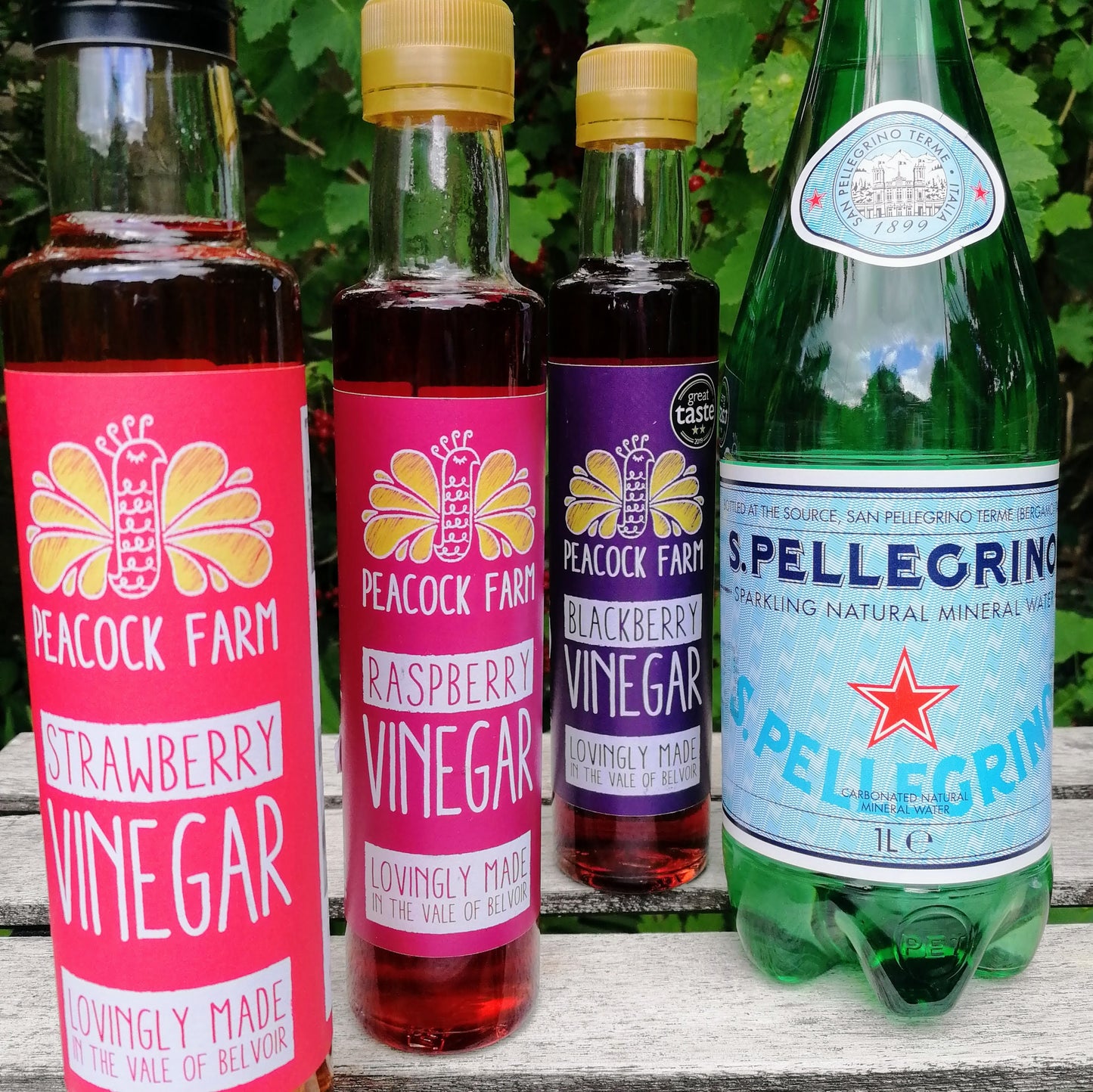 Hedgerow Fruit Vinegars with Sparkling Water - Healthy Drinks